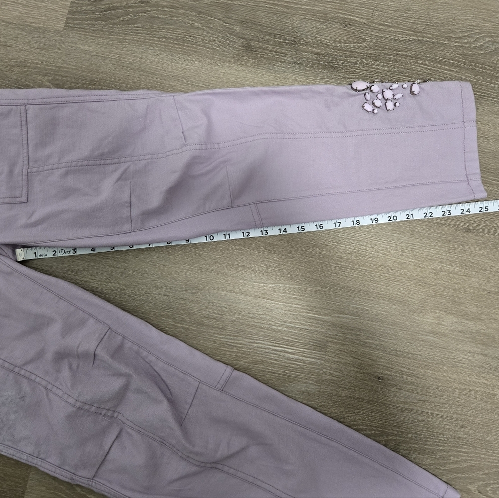 Pilcro The Wanderer NWT Lavender Embellished Women’s Pants Size 23 - Picture 6 of 9